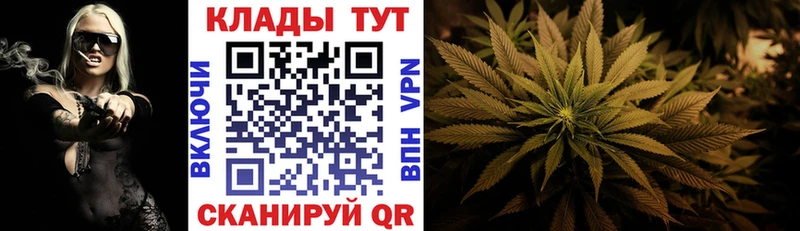 Где можно купить наркотики Купино A PVP Мефедрон
