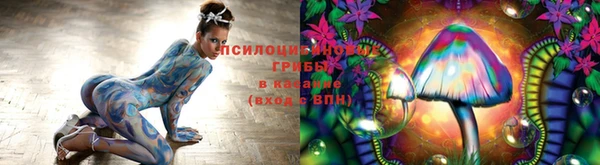 ALPHA PVP Богородицк