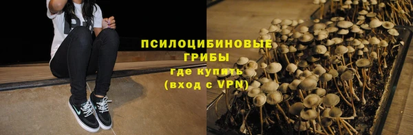 не бодяженный Богданович